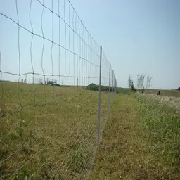 e6e53f1a-d6ac-4cf8-8344-1c051e4ddfd0.png
